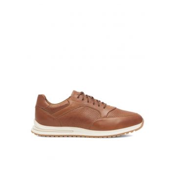 Pantofi barbati -  449409 - Piele naturala - Maro