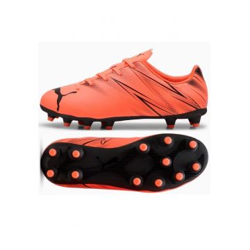 Pantofi sport -  BM220249 Pantofi sport -  BM220249