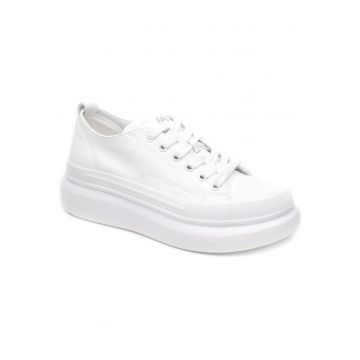 dama 227802 alb -